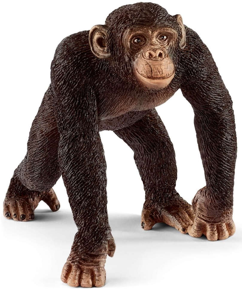Schleich Figurka Szympans samiec 5 cm