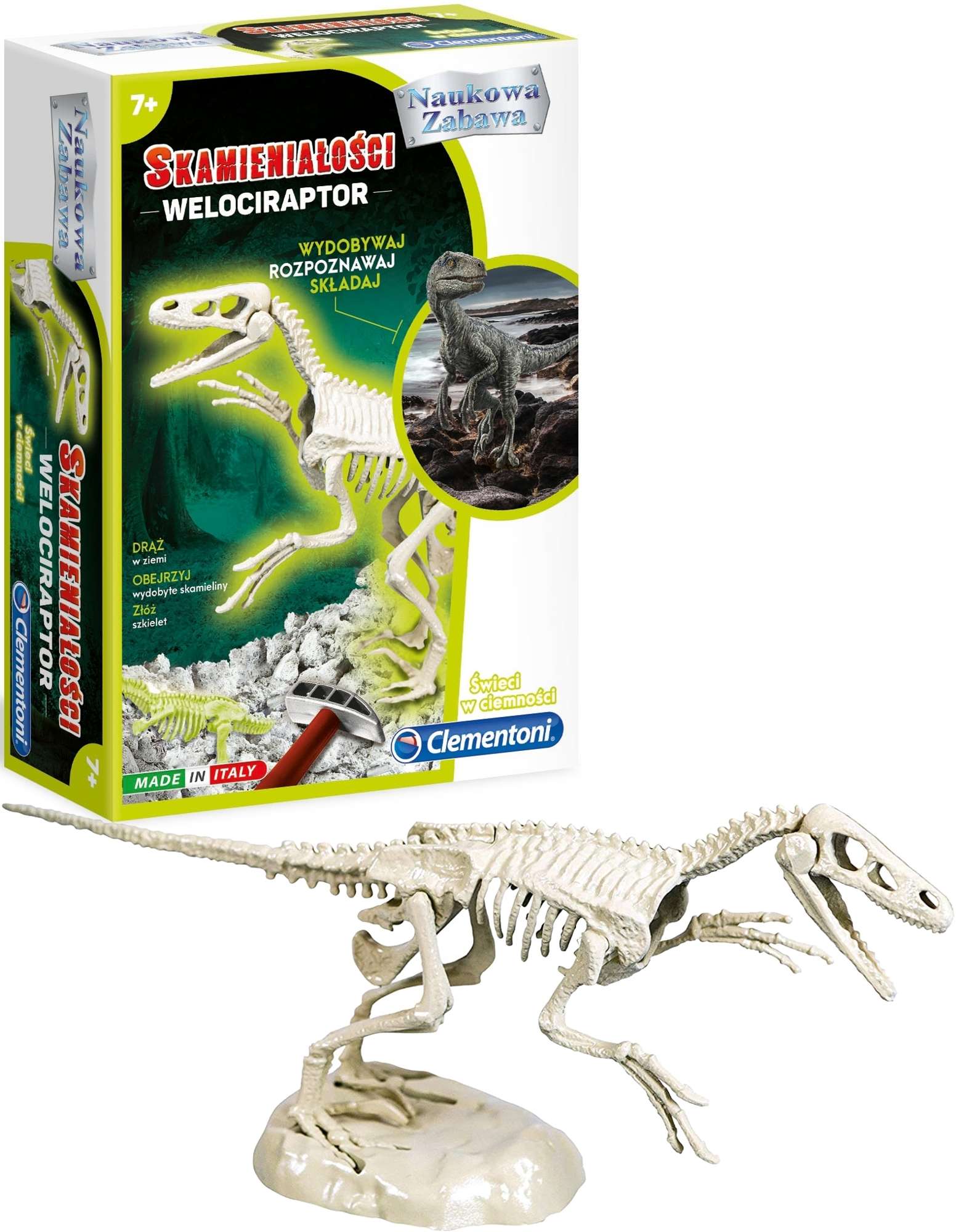 Naukowa Zabawa Skamieniaoci Velociraptor fluorescencyjny