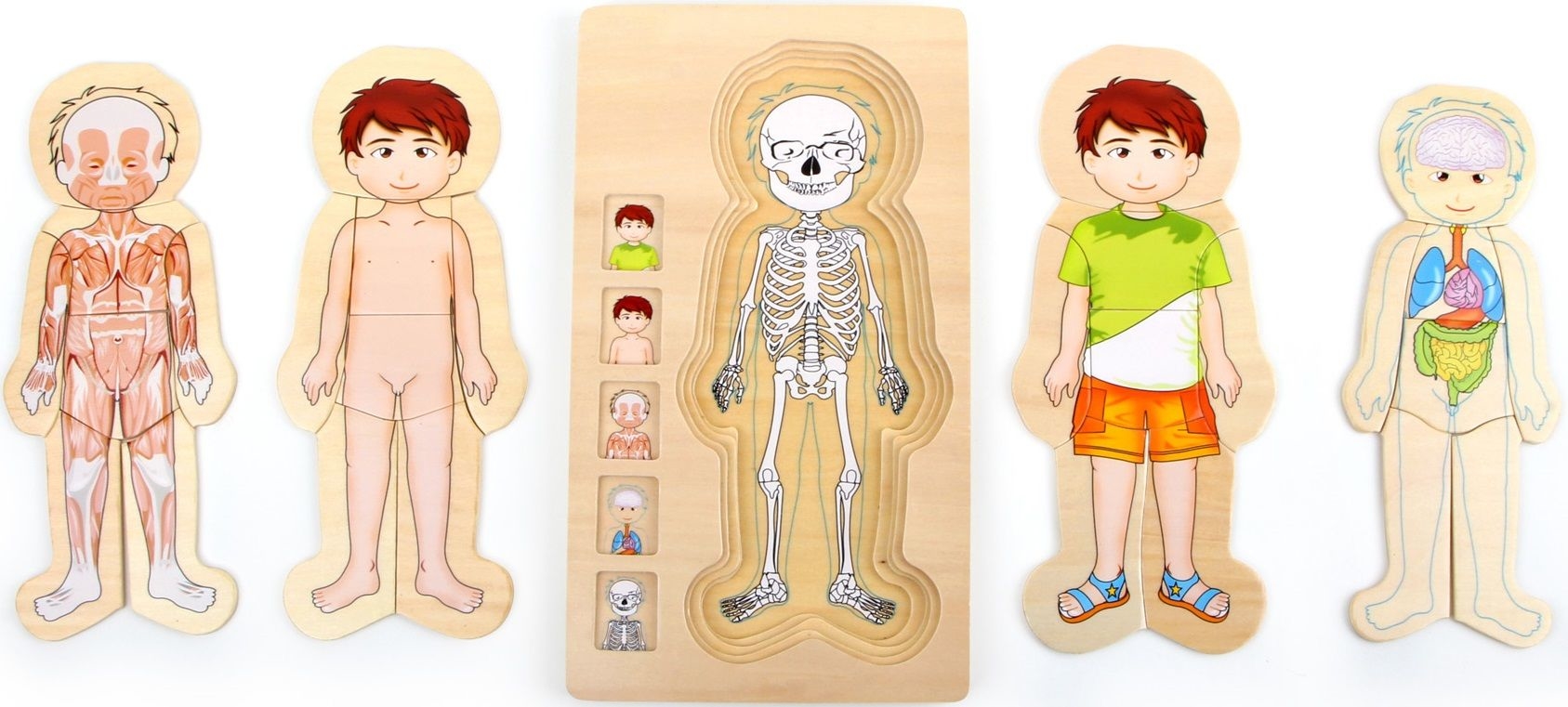 Small Foot Drewniane Puzzle Anatomia Ciao Czowieka dla dzieci
