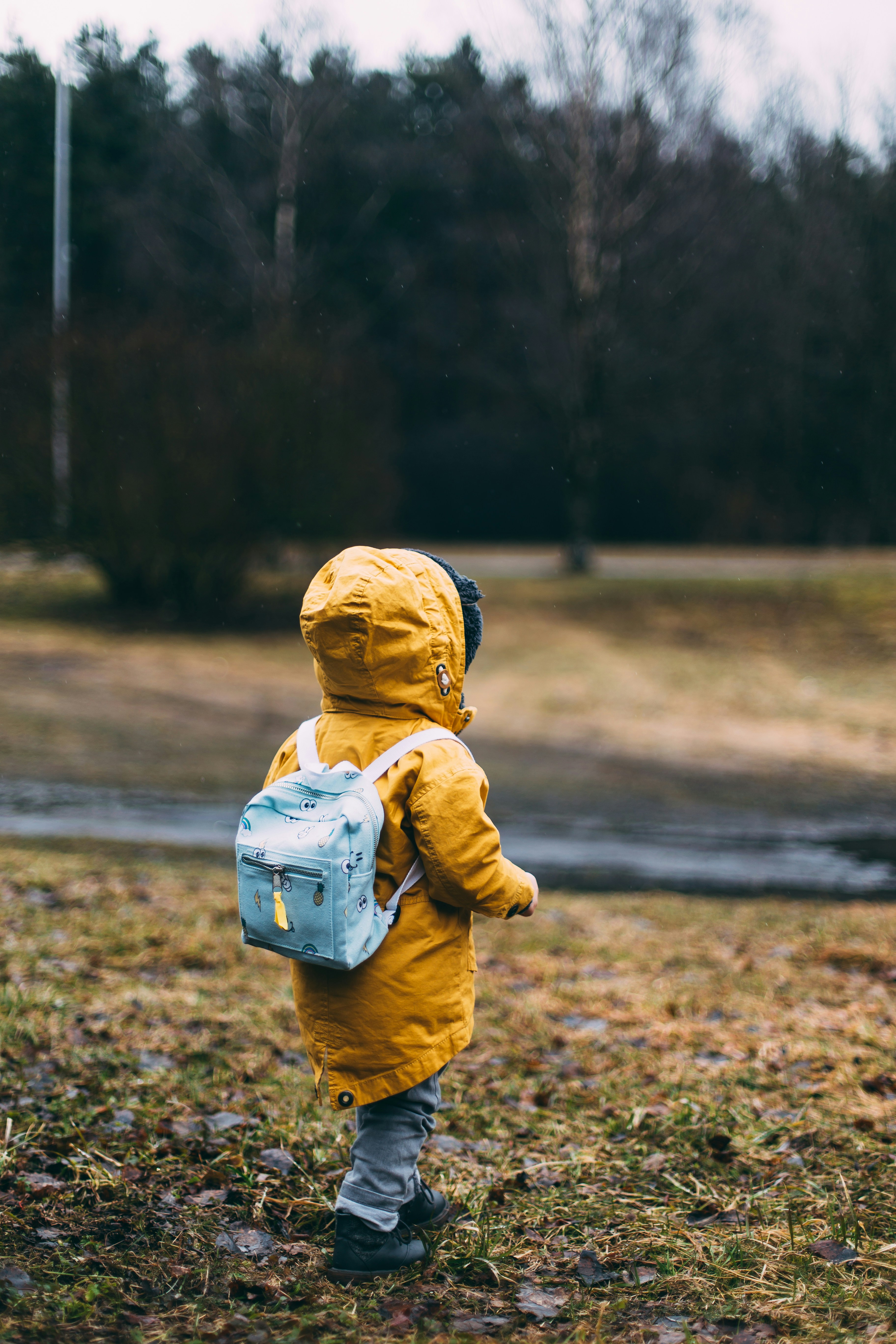 Montessori na co dzień: jak zachęcić dziecko do samodzielności?