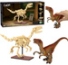 Zestaw Klocki konstrukcyjne CaDA zestaw szkielet dinozaura Dinosaur Fossils: Velociraptor 256 elementów + figurka Velociraptor 18 cm  