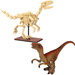 Zestaw Klocki konstrukcyjne CaDA zestaw szkielet dinozaura Dinosaur Fossils: Velociraptor 256 elementów + figurka Velociraptor 18 cm  