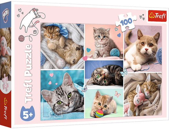 Trefl Puzzle 100 W kocim świecie