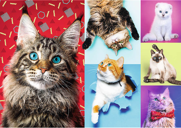 Trefl Puzzle 1000 elementów Wesołe koty