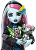 Monster High Zestaw z lalką Frankie Stein pieskiem i akcesoriami