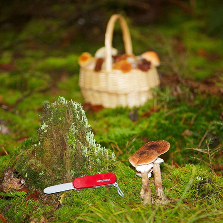 Scyzoryk szwajcarskiej armii Victorinox zabawkowy dla dzieci Klein