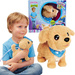 Chi Chi Love Interaktywny Piesek Golden Retriever Loomy z pilotem Dźwięk Świecąca smycz 18 cm 3+
