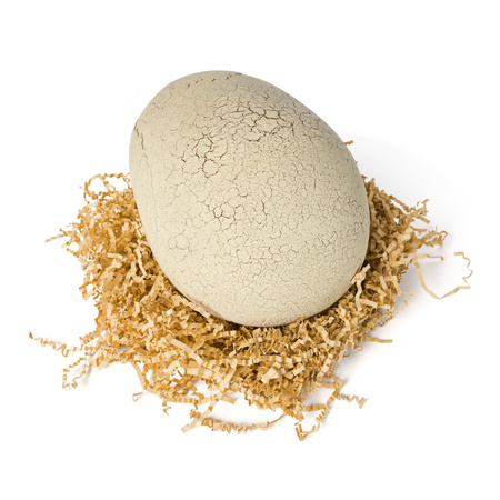 Dino Interaktywny T-Rex Wylęgający Się Z Jajka Jurassic World Primal Hatch