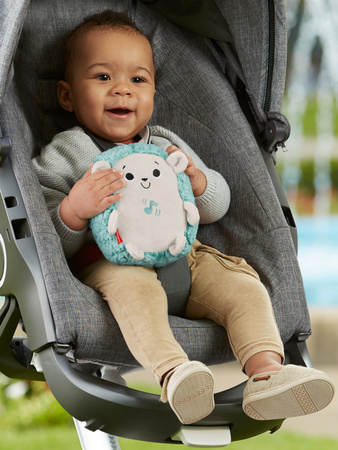 Fisher Price Uspokajacz Jeż z wibracjami i melodią + gryzak GRATIS