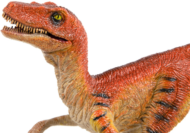 Dinozaur Velociraptor duża figurka ruchoma 19 cm