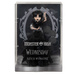 Monster High Kolekcjonerska Lalka Wednesday Addams Rave'n