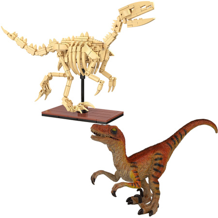 Zestaw Klocki konstrukcyjne CaDA zestaw szkielet dinozaura Dinosaur Fossils: Velociraptor 256 elementów + figurka Velociraptor 18 cm