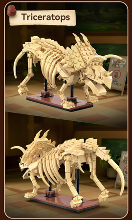 Klocki konstrukcyjne CaDA zestaw szkielet dinozaura Dinosaur Fossils: Stegosaurus 297 elementów