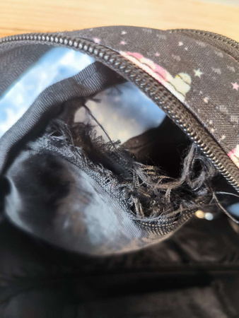 OUTLET Paso Plecak szkolny Jednorożce WADLIWY