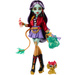 Monster High Jinafire Long duża lalka smok z pieskiem Cloudy "Yun Yun" 27 cm + akcesoria Straszyceum