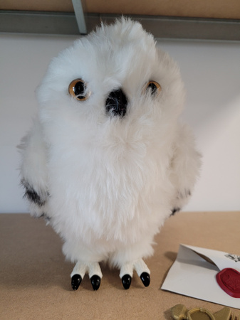 OUTLET Harry Potter Hedwiga Interaktywna biała sowa z listem + akcesoria Dźwięk 23 cm 5+ WADLIWA