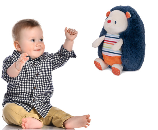 Maskotka Pluszowy Jeż 23cm Pluszak Dla Dzieci Dzień Jeża Spin Master Gund