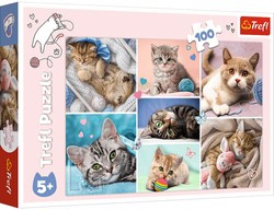 Trefl Puzzle 100 W kocim świecie