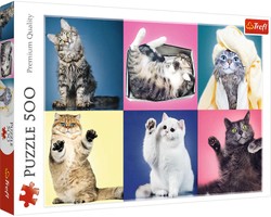 Trefl Puzzle 500 elementów Kociaki, kotki, koty