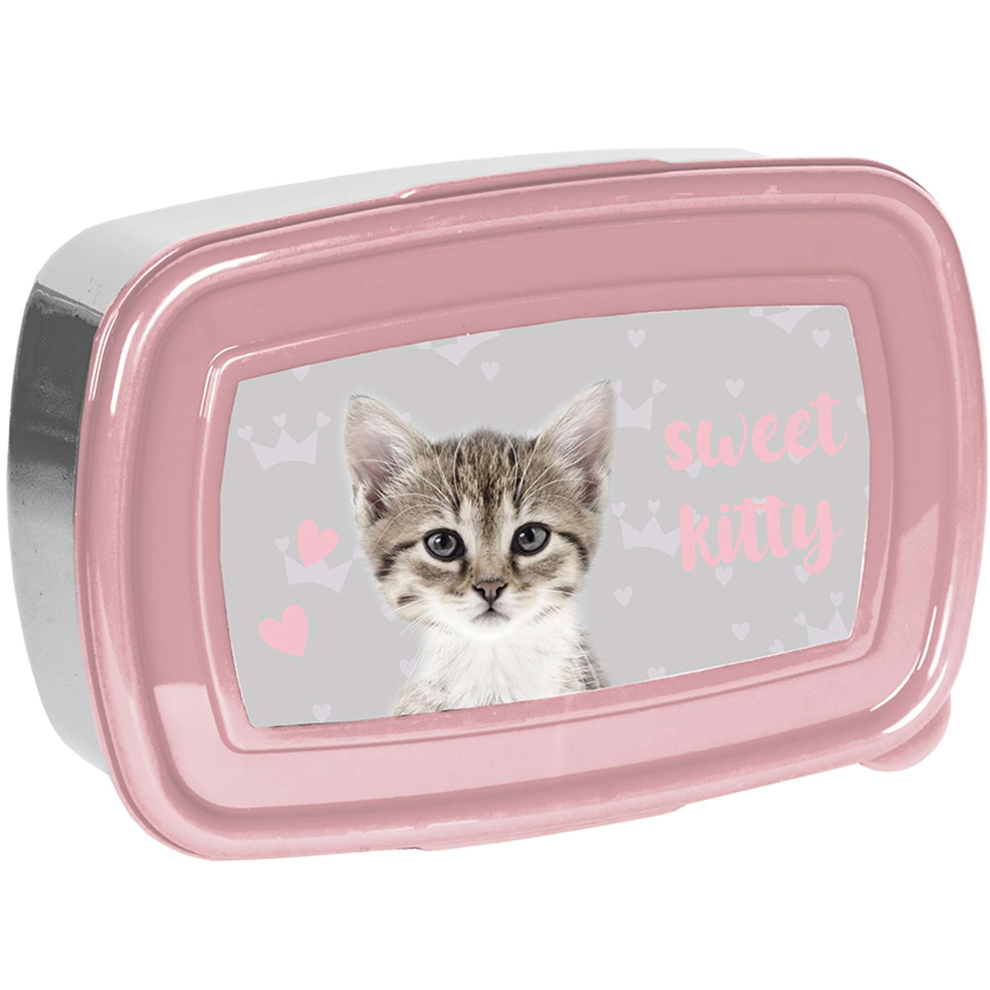 Paso Śniadaniówka Pojemnik Lunch Box Kot Kotek 750 ml Humbi.pl