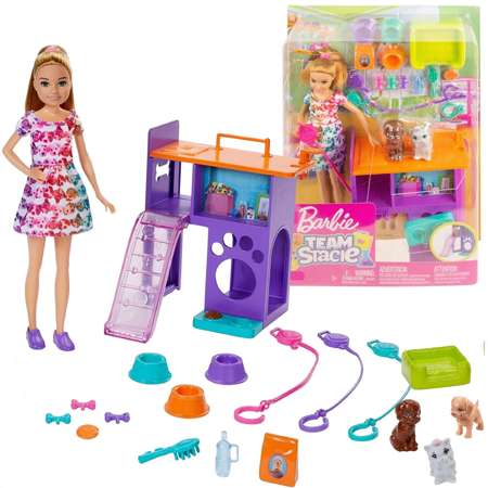 Mattel Lalka Barbie Stacie opiekunka zwierząt pieski akcesoria