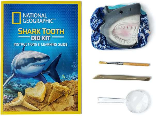 Orbico National Geographic Wykopalisko Zęby Rekina 