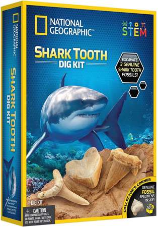 Orbico National Geographic Wykopalisko Zęby Rekina 
