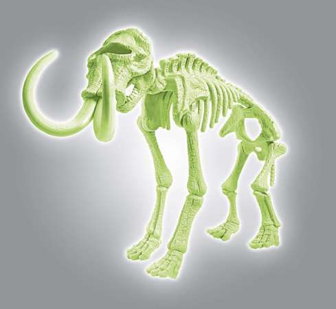 Skamieniałości Mamut fluorescencyjny świecący szkielet