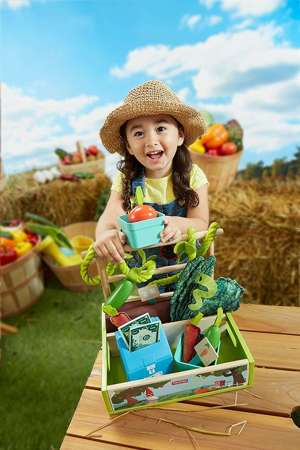 Supermarket stragan farma z warzywami i zestaw ogrodowy z taczką