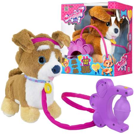 TM Toys Sprint Puppy Interaktywny piesek Corgi na smyczy szczeka
