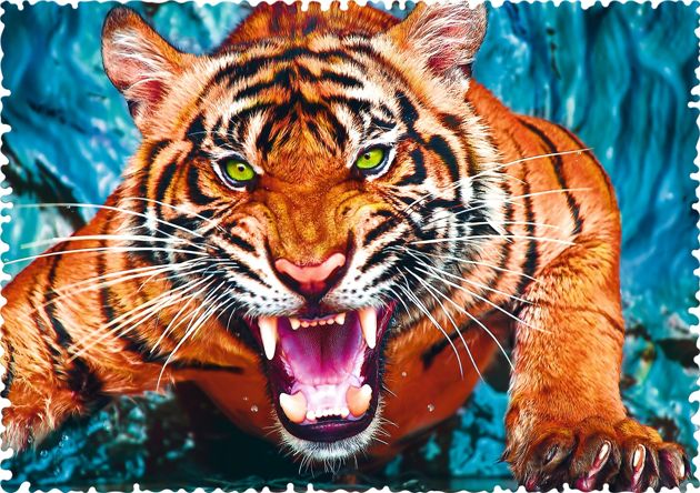 Trefl Puzzle Crazy Shapes Oko w oko z tygrysem 600 elementów